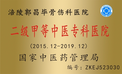 二级甲等中医专科医院