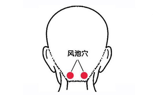 风池穴.png
