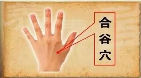 044766926fa6ea0b9557fb6063bf761.jpg
