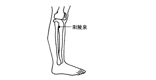f4d23773ce441849f69f2be064120b3.png