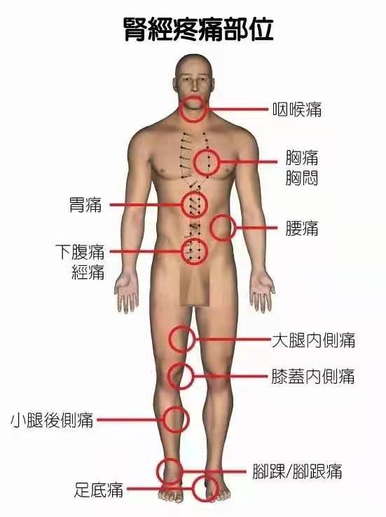 微信图片_20210202152848.jpg
