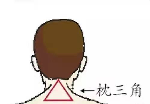 微信图片_20211217093633.jpg
